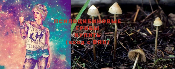 ECSTASY Абинск
