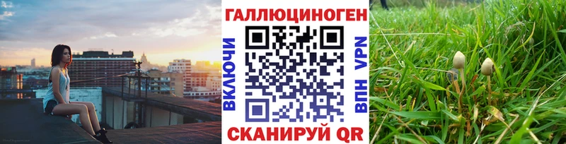 Псилоцибиновые грибы MAGIC MUSHROOMS  omg сайт  Куровское 