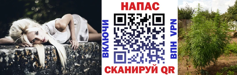 Каннабис LSD WEED Куровское